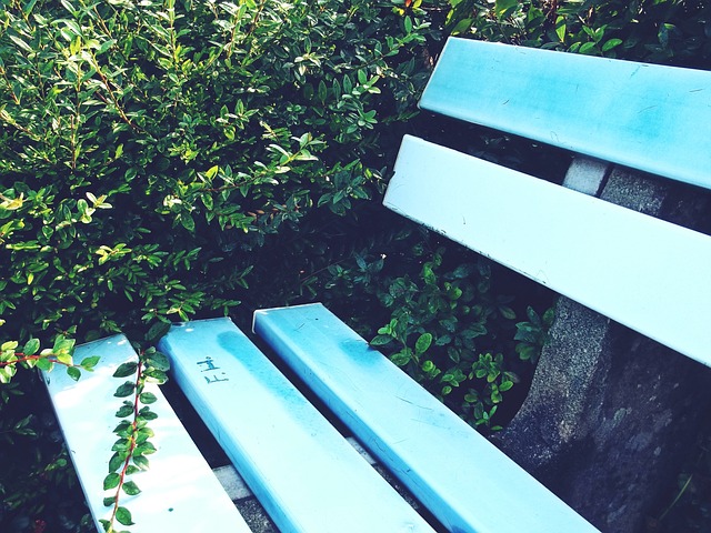 没有猫腻 没有猫腻