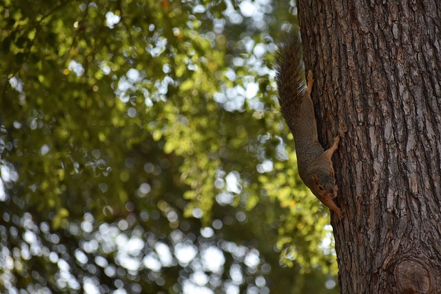 让新生代球 让新生代球