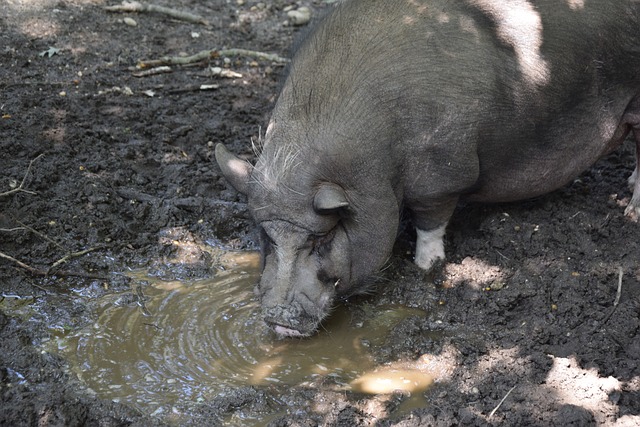 競技是一件 競技是一件