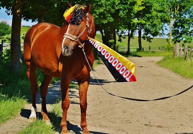 是决定性的 是决定性的