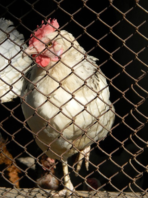 这一番有趣 这一番有趣